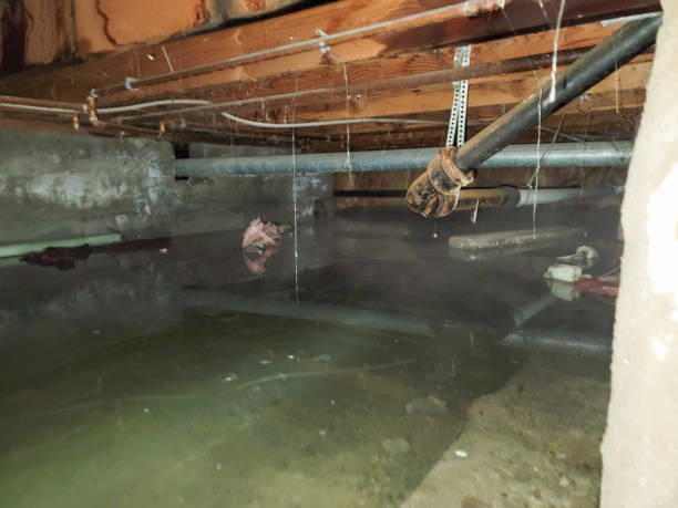 Trusted Anthem, AZ Water damage restoration Experts