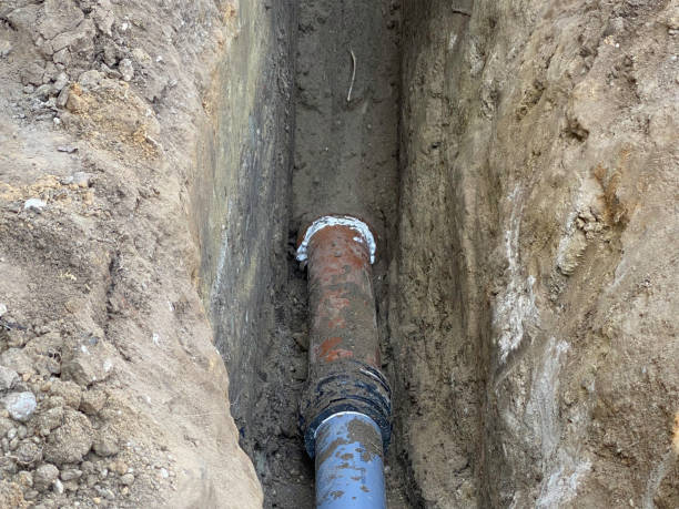 Best Sewage cleanup and water damage restoration  in Anthem, AZ