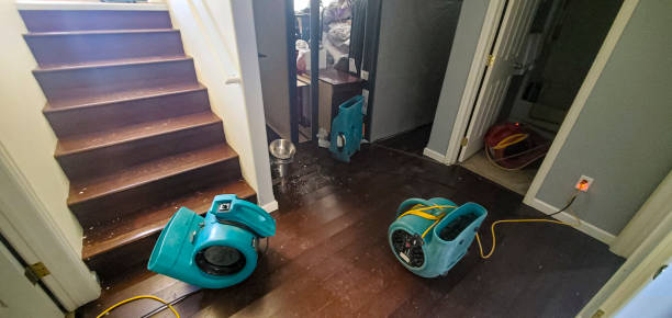 Local water damage restoration in Anthem, AZ