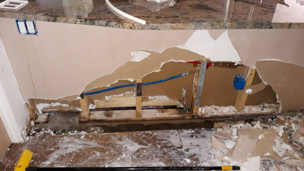 Best Commercial water damage restoration  in Anthem, AZ