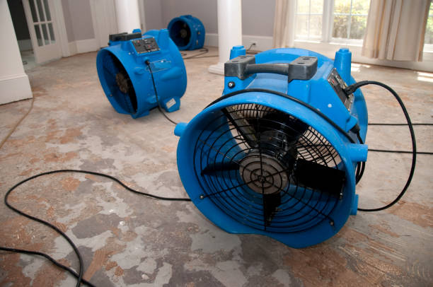 Best Flooded house restoration  in Anthem, AZ