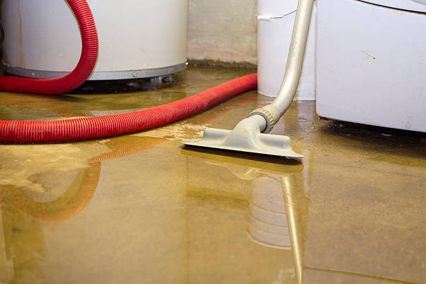 Best Water damage cleanup near me  in Anthem, AZ