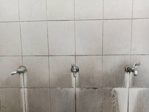 Water damage restoration mold remediation in Anthem, AZ
