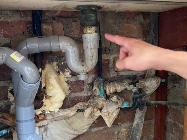 Best Water damage repair service  in Anthem, AZ